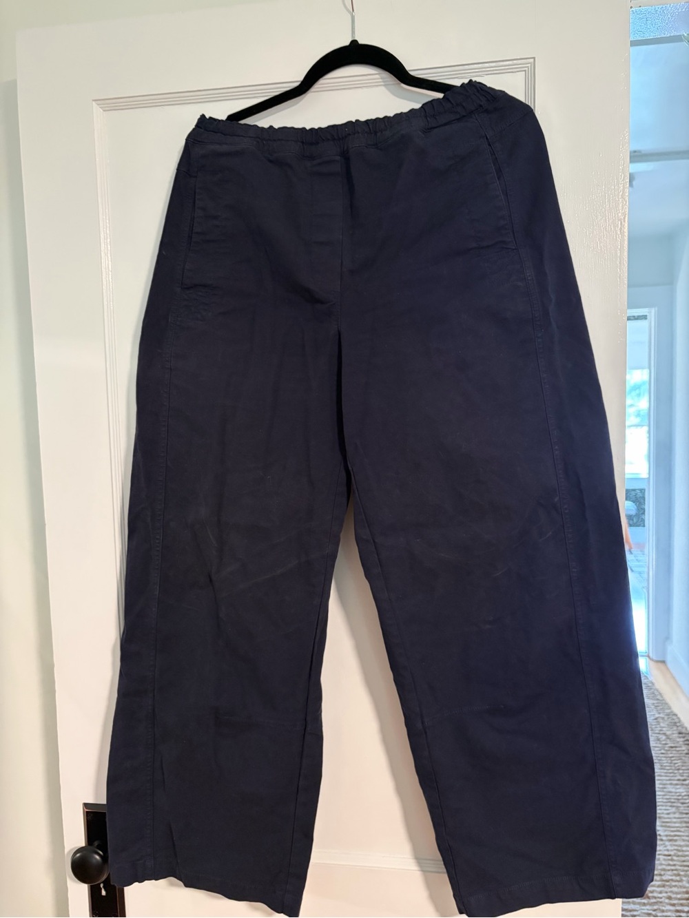 Banana Republic Navy Cotton Cropped Pants, Size M Tall